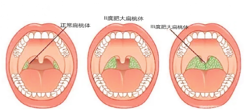 微信图片_20230712080155.png