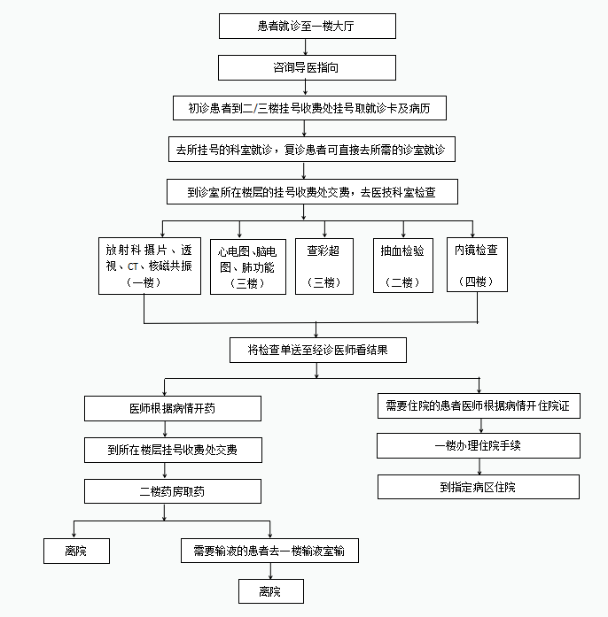 就诊流程(图1)